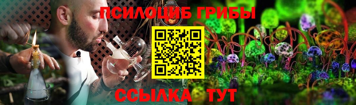 Галлюциногенные грибы Psilocybine cubensis Белогорск